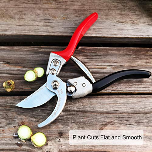 TONMA Pruning Shears [Made in Japan] Professional 8 Inch Premium Plant Garden Scissors Secateurs