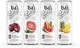 Bai Bubbles Voyager Variety Pack, Sparkling Antioxidant Infused Beverages, 11.5 Fl. Oz. Cans (Pack of 12)