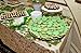 Konsait St Patricks Day Decorations, St.Patrick Shamrocks and Leprechauns Foil Table Confetti (About 400Pcs) &Lucky Shamrock Plastic Coins (40/Pkg) for Saint Patrick Party Decoration Favors Supplies