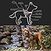 EzyDog Convert Dog Harness – Trail-Ready Rugged Harness for Walking, Hiking & Outdoors with Reflective Piping, Badge Attachment Points, Traffic handle, & Comfort Lining (Large, Charcoal)