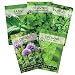 Sow Right Seeds - Herb Garden Seed Collection - Basil, Chives, Cilantro, Parsley, and Oregano Seeds for Planting; 5 Individual Packets primary