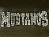 Mustangs Mascot Rhinestone Transfer Iron on