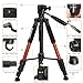 ZOMEI 58'' Compact Light Weight Travel Portable Aluminum Camera Tripod for Canon Nikon Sony DSLR Camera with Carry Case 11 lb Load (Orange)