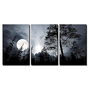 Full Moon in The Forest - Canvas Art Wall Art - 16"x24"x3 Panels