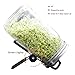 Sprouting Jar Lids and Stands, Sprouting Kit Stainless Steel for 32 Oz Wide Mouth Mason Jar and Phone iPad Tablet (2PCS Lids + 2PCS Stands) by Lanting
