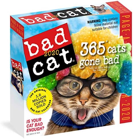 Bad Cat Page-A-Day Calendar 2020