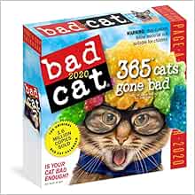 Bad Cat Page A Day Calendar 2020 Workman Calendars 9781523506378 Amazon Com Books bad cat page a day calendar 2021