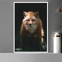Framed Canvas Wall Art Red Fox Animals Contemporary Expressive Fox Living Room Multicolor Photography - 16x24 inches