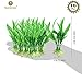 SunGrow Artificial Aquarium Plants for Aquatic Pets, Realistic Green Plants with Ceramic Base, Fish Tank Decorations & Home Decor, 10Pcs/Pack
