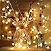 Globe String Lights, 40 LED Waterproof Decorative String Lights Outdoor, IP 65, Battery Operated Starry Fairy Lights for Patio, Christmas, Garden, Wedding, Parties
