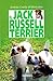 Il Jack Russell Terrier (arCani & C.)