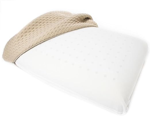Amazon Com Sealy Embodytm Proformance Memory Foam Pillow Home