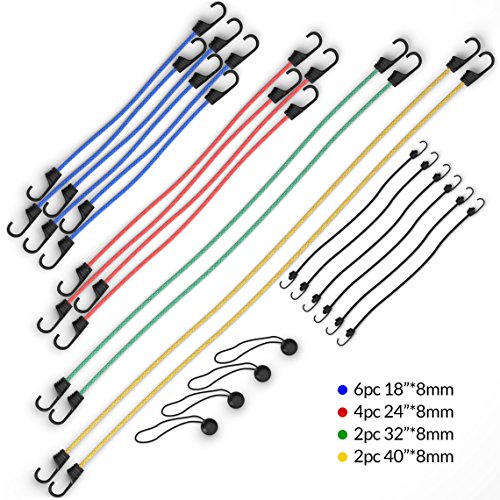 1 Bungee+Assortment+FORTEM+Bungees+Plastic