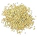 Food to Live Organic Buckwheat Groats, 20 Pounds – Whole Grain Buckwheat Seeds by Food to Live. Hulled, Non-GMO, Kosher, Raw, Vegan, Sirtfood. Buckwheat Cereal in Bulk