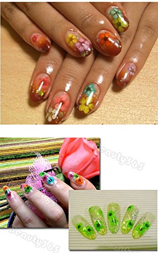 XICHEN 36 Starry Plus 36 Five Flower Flower Three-Dimensional Applique 3D Nail Stickers Nail Supplies Dried Flowers 2 12 Color (Starry and Five Flower) - Thumbnail 5