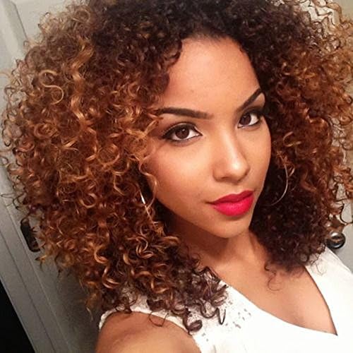 Mersi Wigs for Black Women Ombre Brown Wig Short Kinky Curly Wigs Heat Resistant Fiber 16'' with Wig Cap S031