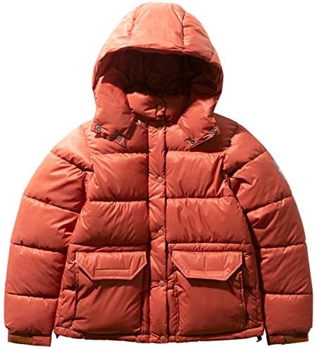[ノースフェイス] レディース キャンプシェラショート CAMP Sierra Short ピカンテレッド NYW81931 PI