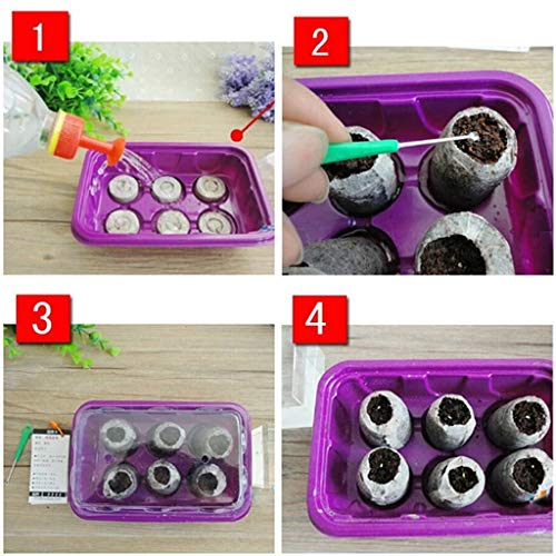 Tee Vee 35mm Garden Soil Peat Pellets for Seeds Germination Seeds Starting Direct Plant Seed Starters (50, 35mm)