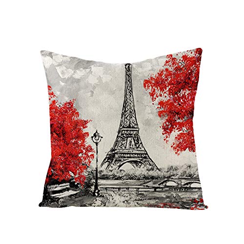 Begleri Throw Pillow Covers，Paris Throw Pillow Covers for Sofa Living Room Car 18 x 18 Inches，4 Pack.