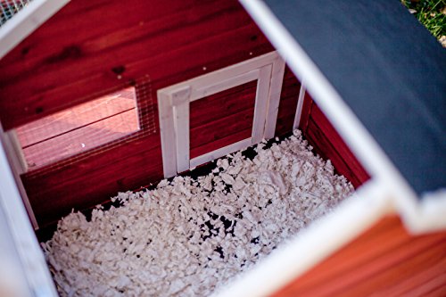 Advantek The White Picket Fence Rabbit Hutch