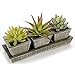 MyGift Realistic Artificial Succulent Plants in Rustic Brown Wooden Square Pots & Rectangular Display Tray, Set of 3