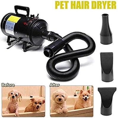 go pet club dryer