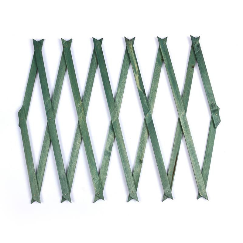 My Garden Outdoor Living Expandable Wooden Trellis - 6ft Extendable Panels Brass Pinned Carbonized Corrosion Protection & Weatherproof Wood Ivy Flowers Plants Climbing Frame Green 180 x 90 cm