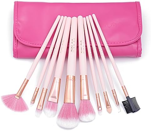 Diolan Makeup Brushes Set 10 Pieces Wooden Handle Premium Synthetic Foundation Blending Blush Eyeliner Face Lip Cosmetic Brush Kit With PU Leather Bag (Pink)