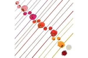 Amba Handicraft Rakhi for Brother/Rakhi/Rakhi Set of 12 / Rakhee/Designer rakhi/Send rakhi to USA/Rakhi for Brother with Gift Set/Rakhi Bhaiya Bhabhi/Rakhi Gift Card