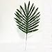 Owncons Package of 25 Silk Palm Leaves