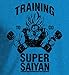 Saiyan T-Shirt Dragon Anime Z Vegeta Manga Tee Vintage Heather Sapphire M
