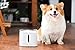PETKIT TKWTWH Eversweet Smart Pet Fountain Waterer