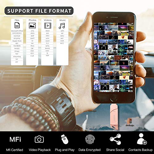 USB Flash Drive 128GB Memory Stick for iPhoneThumb Drive 3in1 iOS Flash Drive External Drive USB Stick Sunswan Compatible iPhone iPad iOS MacBook Android and Computer (Silvre128G-DK)