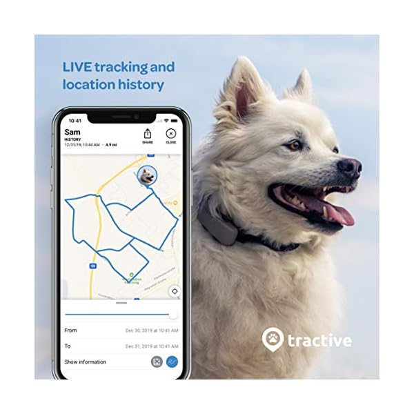 Tractive LTE GPS Dog Tracker Top Outdoor Dog Supply