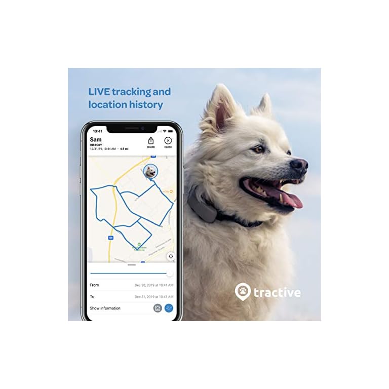 Tractive LTE GPS Dog Tracker Top Outdoor Dog Supply