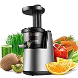 Flexzion Cold Press Juicer Machine - Masticating Juicer Slow Juice Extractor Maker Electric Juicing Vertical Stand for Fruit, Vegetable, Greens, Wheat Grass & More with Big Cup & Juicing Bowl
