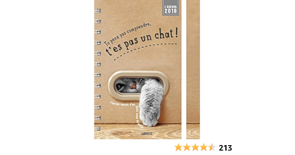 Agenda 18 Tu Peux Pas Comprendre T Es Pas Un Chat Calendriers Lemoine Aurelie Zabee Alice Amazon Es Libros