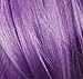 L'Oreal Paris Colorista Semi-Permanent for Light Blonde or Bleached Hair, #Purple