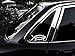 DNA Fish Darwin Sticker - Vinyl Decal (White)