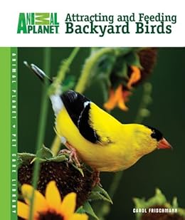 Amazon Com Attracting And Feeding Backyard Birds Animal Planet