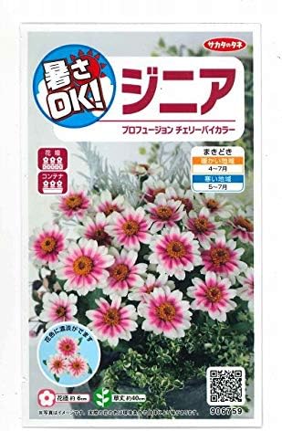 サカタのタネ 花の種 1年保証 ジニア チェリーバイカラー 0 2ml プロフュージョン