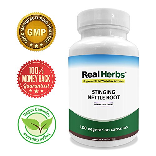 Real Herbs Stinging Nettle Root Extract Standardized to 1 Silica