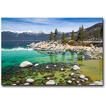 Amazon Com So Crazy Art Canvas Print Wall Art Painting For Home