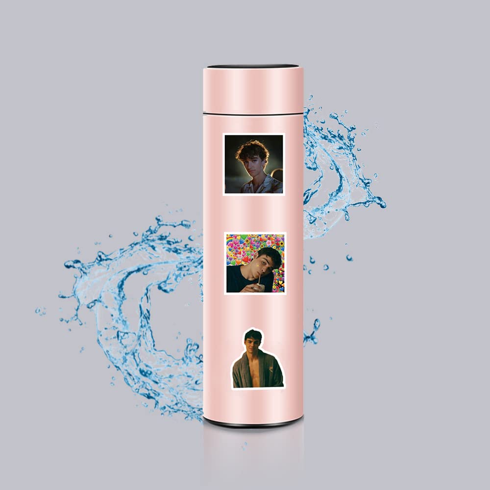 60 Pcs The Summer I Turned Pretty Classic TV Fashion Aesthetic Waterproof Vinyl Stickers for Adults for Birthday Party Supplies Decoration Favors for Water Bottles Laptop Suitcase