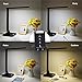 Ledgle 14W 270 Degree Rotatable Head 5-Level Brightness Dimmable LED Table Lamp with 4 Modes, Auto Timer and 5V/1A USB Port