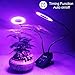 Grow Light Lamp with Timing Auto Work and Dimming Function,Muizlux Dual Head 40LED Grow Lamp Bulbs Adjustable Gooseneck for Indoor Plants Hydroponics Greenhouse Gardening [2018 Upgraded]
