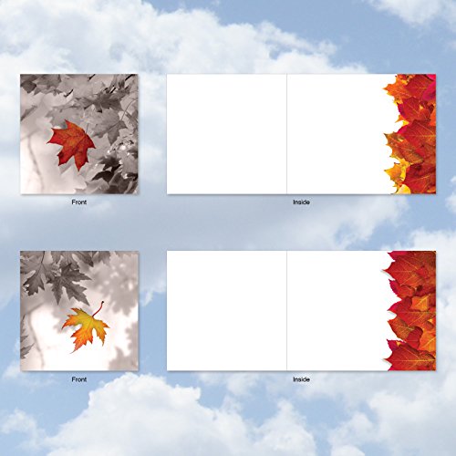 image for The Best Card Company MQ4629OCB-B1x10 Autumn Leaf: 10 Assorted Set of 