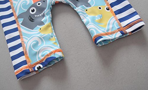 BANGELY Kids Baby Boy Summer Long Sleeve One Piece Rash Guard Swimsuit Sun Protection Swimwear Size 24-36M (Ligh Blue)
