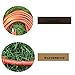 Epicord 16/3 Vinyl Outdoor Long Extension Cord 3 Prong Heavy Duty for Indoor and Outdoor (100 Feet Orange)