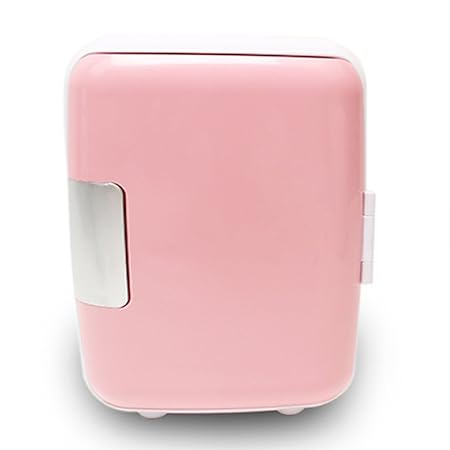 ZSEFV Refrigerador del Coche Mini Refrigerador Refrigerador ...